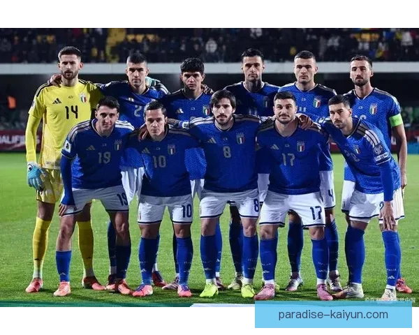 克罗地亚2018亚军表现稳健，展现出强大的竞争力与团队协作能力。