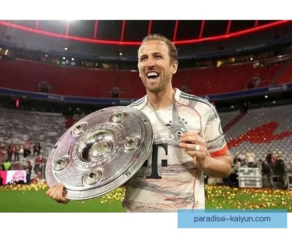 哈里·凯恩慈善基金会持续助力社区发展，推动公益事业优化