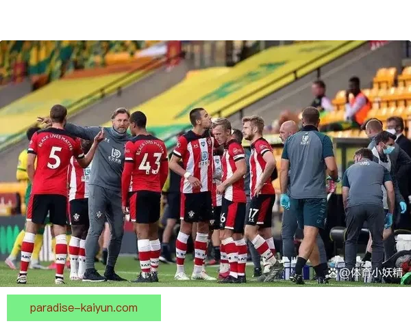 伯恩茅斯伤病名单更新：多名主力缺阵，防线压力加剧